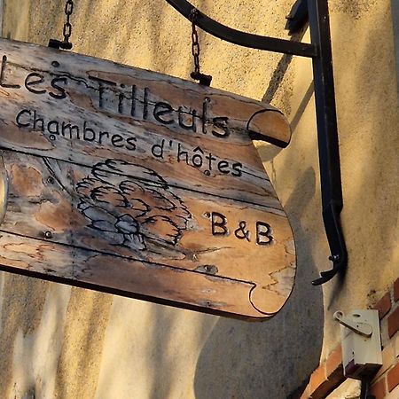 Les Tilleuls Neung-sur-Beuvron Eksteriør billede